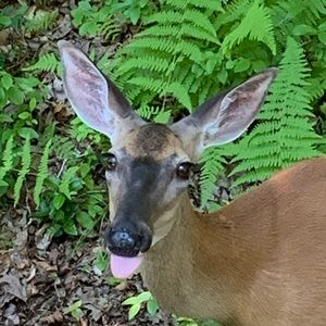 Meet your Posher, Dave